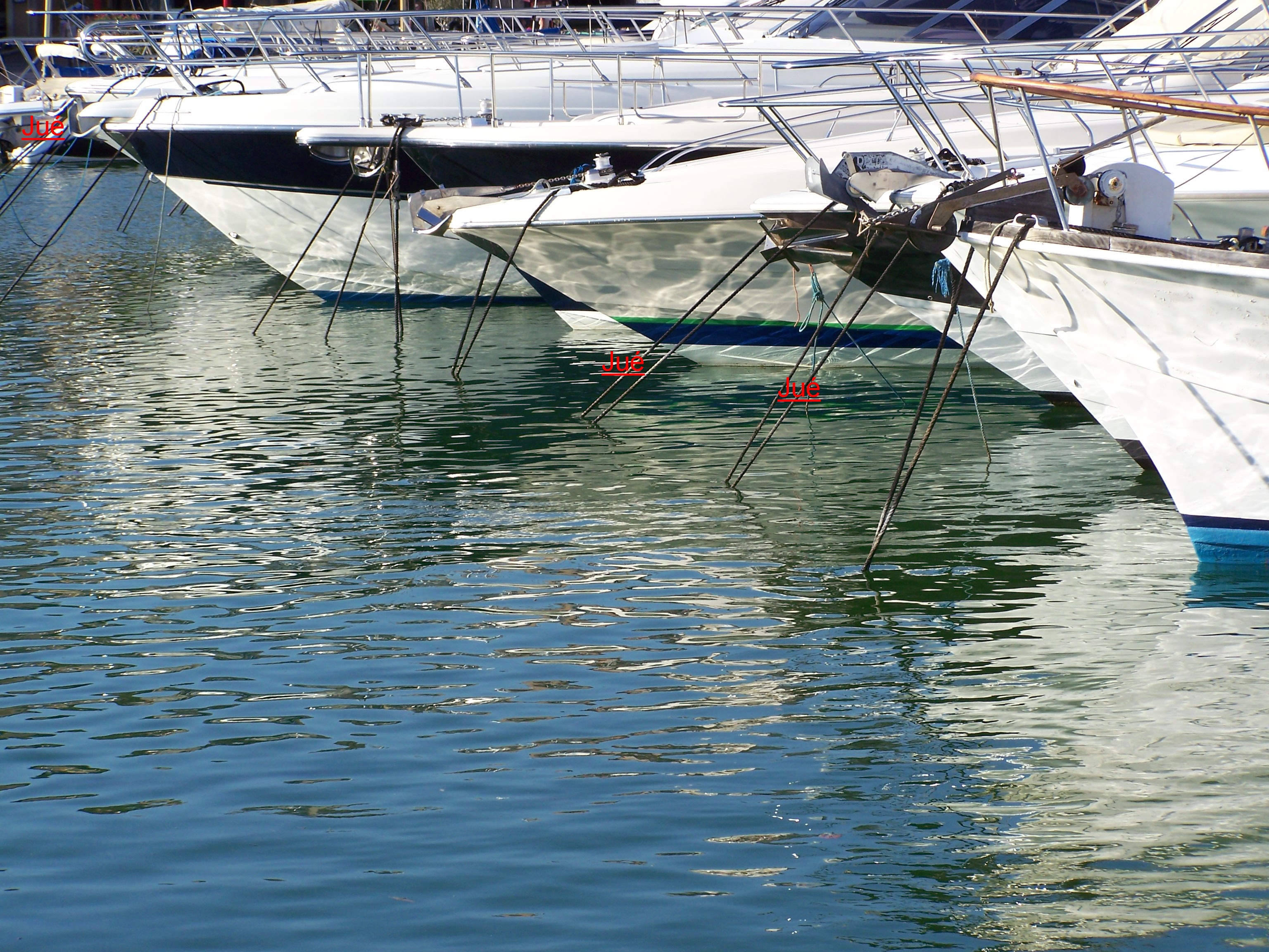 image de Cassis 24