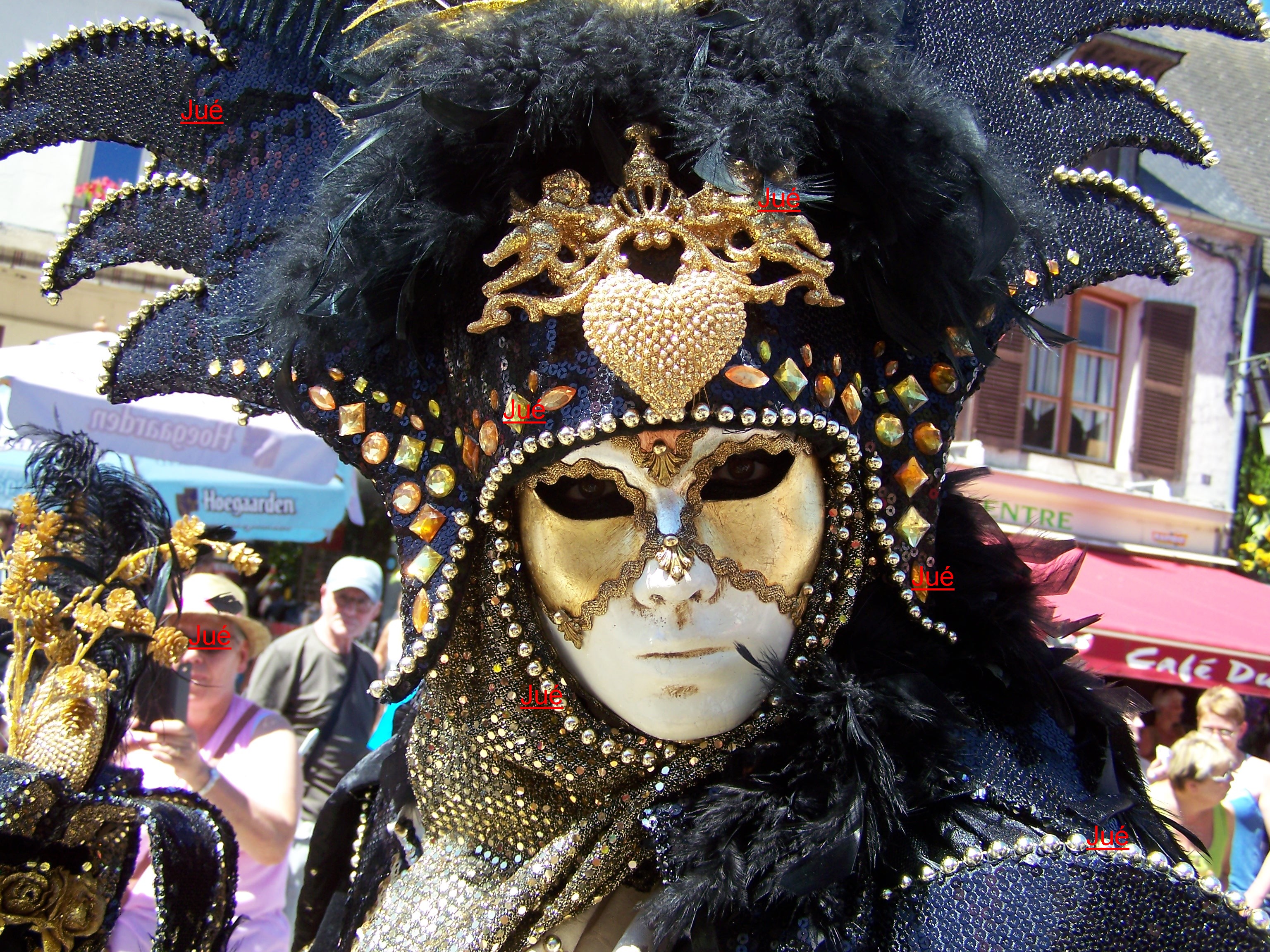 image de 26 Carnaval d'Aubigny